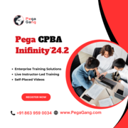 Become Pega CPBA Infinity'24 Certified Lead Architect - PegaGang